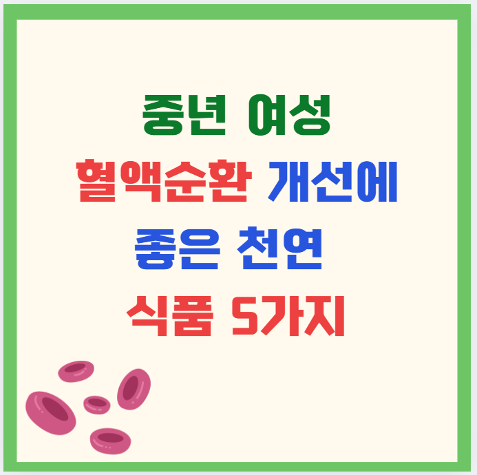 중년 여성 혈액순환 개선에 좋은 천연 식품 5가지｜손발 저림, 냉증, 갱년기 증상 완화